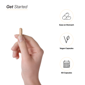 HC Nutrition Lion’s Mane 1000mg - Image 4